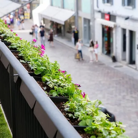 بيت ضيافة In Centro Luxury 4*