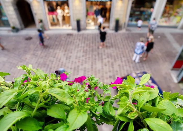 Πανσιόν In Centro Luxury Όπως